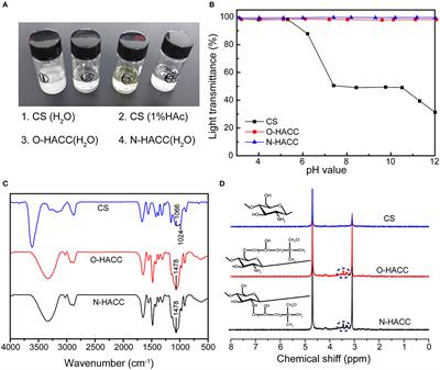 Preparation of Antimicrobial Hyaluronic Acid/Quaternized Chitosan Hydrogels for the Promotion of Seawater-Immersion Wound Healing